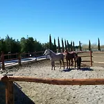 Il Vivaio Tarquinia